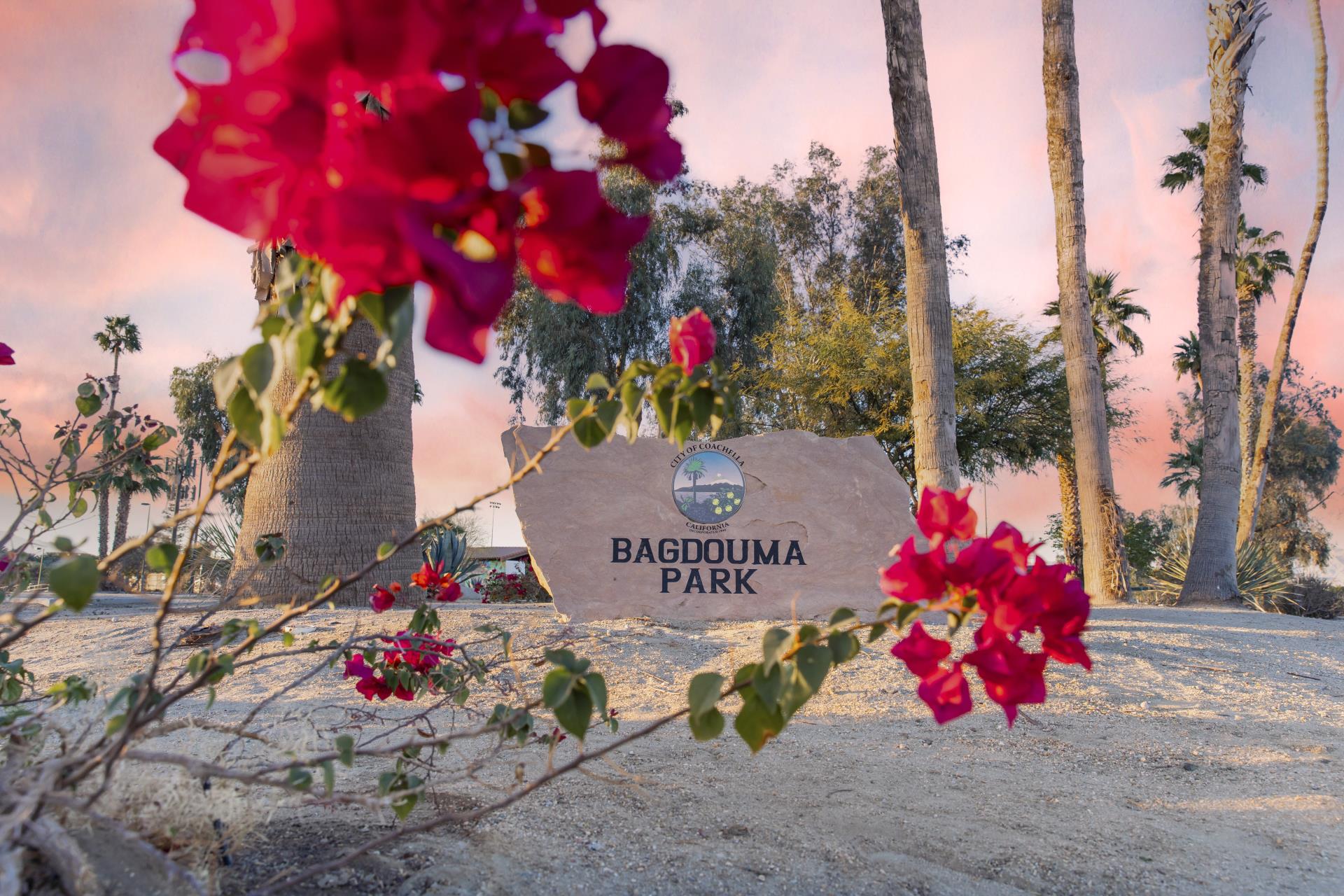 Coachella_BagdoumaPark_TaraHoward-7R