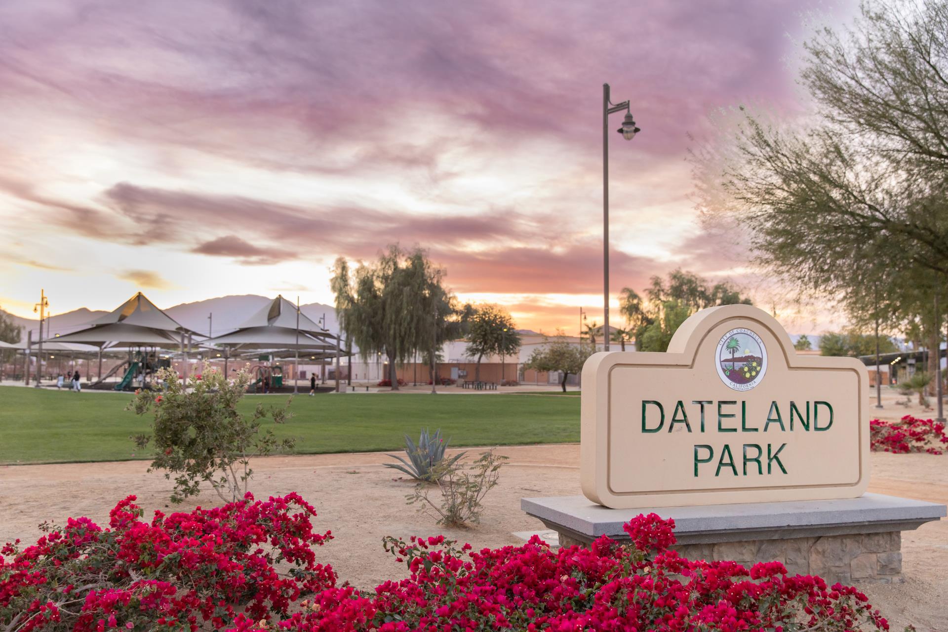 Coachella_DatelandPark_TaraHoward-4