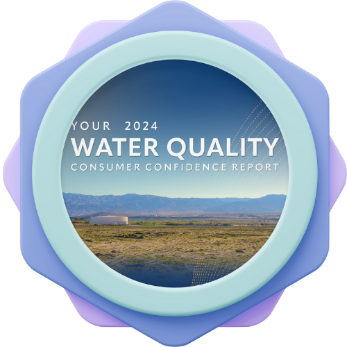 CCR BUTTON ENGLISH_2024