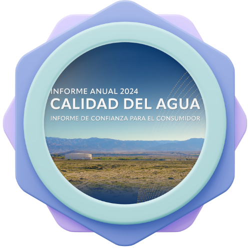 CCR BUTTON SPANISH_ 2024