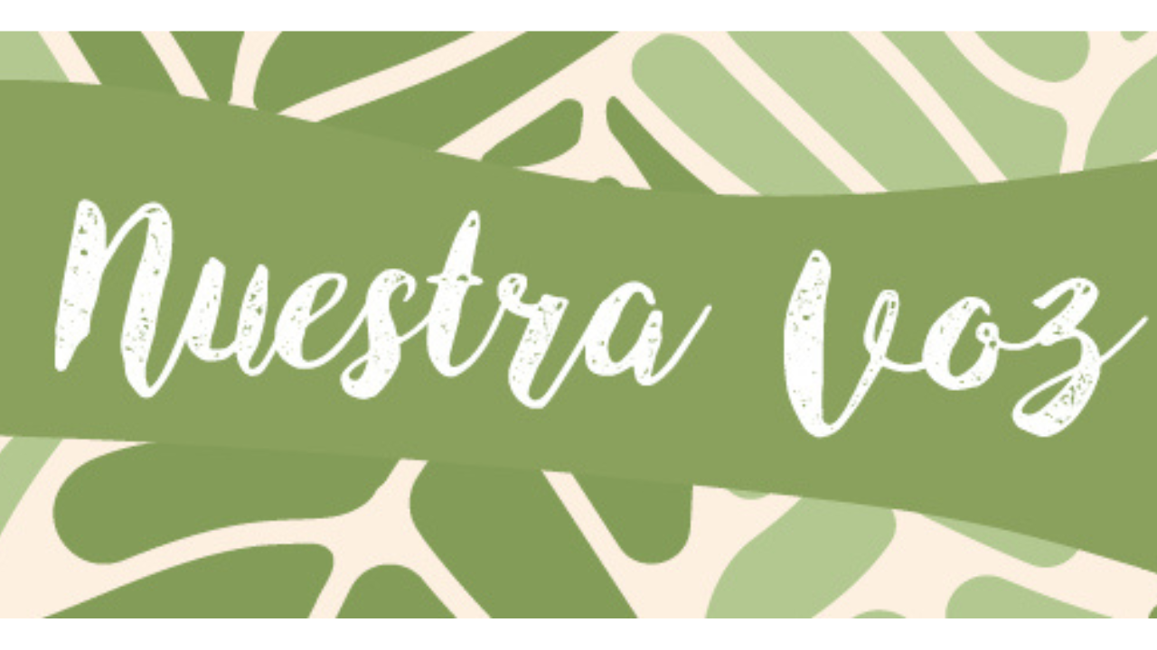 ENG/SPA Newsletter: Fall & Winter Updates